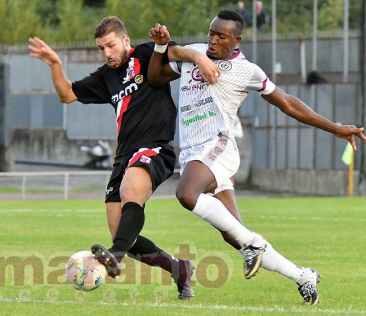 FOTOGALLERY / Serie D / 4a giornata / Arezzo-Terranuova Traiana 2-0