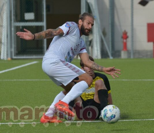 Sette giornate, difesa di ferro, primo posto in classifica. Arezzo, va benissimo così