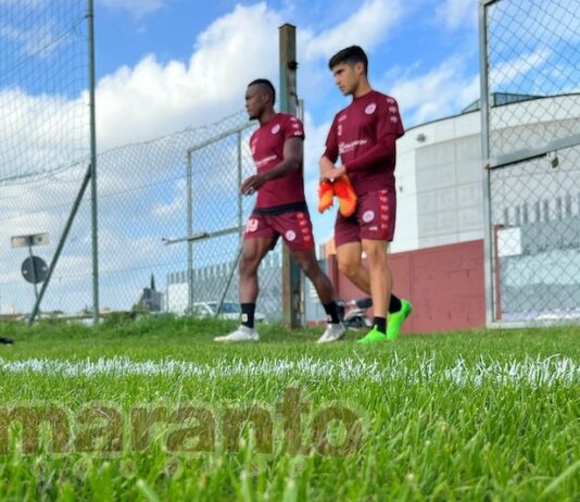 Amaranto di nuovo al “Lebole”. Anche Gaddini in gruppo. Polvani squalificato per un turno