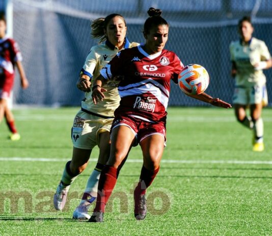 Acf, da Sassari a Verona. L’amaro della sconfitta dopo un’annata da record. Ma ora si riparte