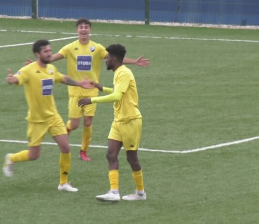 VIDEO / Serie D girone E / Tutti i gol della 15a giornata