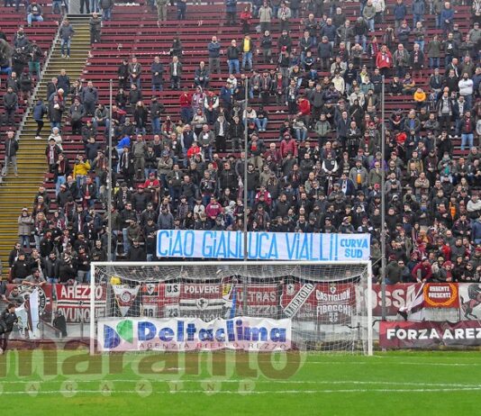 FOTOGALLERY / Serie D / 18a giornata / Arezzo-Orvietana 2-0