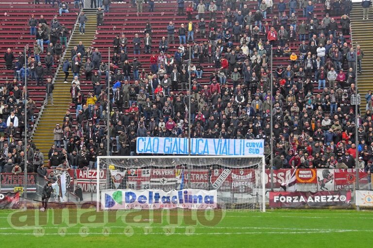 FOTOGALLERY / Serie D / 18a giornata / Arezzo-Orvietana 2-0