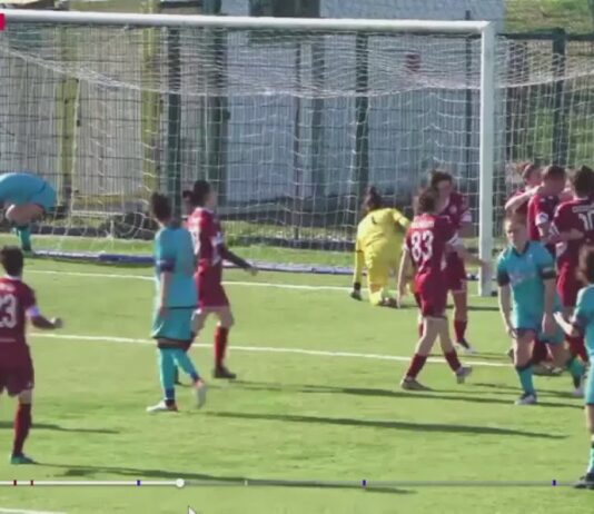 VIDEO / Cesena-Acf Arezzo 2-2 / La sintesi della partita