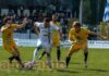 Poule scudetto / Pineto-Arezzo 3-1
