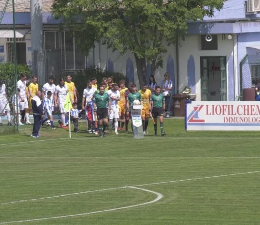 VIDEO / Pineto-Arezzo 3-1, la sintesi e le azioni della partita