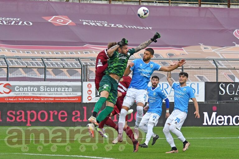 FOTOGALLERY / Serie C / 13a giornata / Arezzo-Pineto 1-2