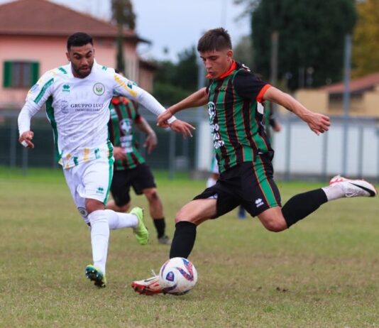 Maloku, Bonavita, Zhupa, Fiore, Pericolini: under in vetrina in D. Ecco come vanno i prestiti amaranto