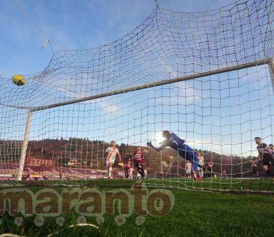 FOTOGALLERY / Serie C / 27a giornata / Arezzo-Recanatese 2-0