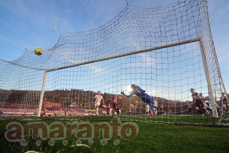 FOTOGALLERY / Serie C / 27a giornata / Arezzo-Recanatese 2-0