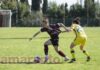 Campionato / Acf Arezzo-Verona 1-2