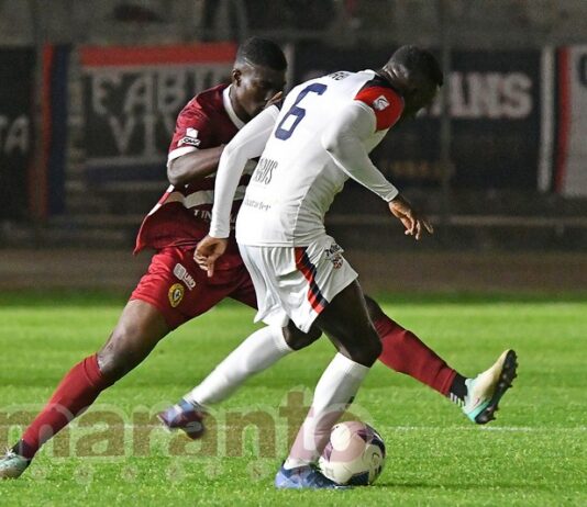 FOTOGALLERY / Serie C / 36a giornata / Arezzo-Torres 1-1