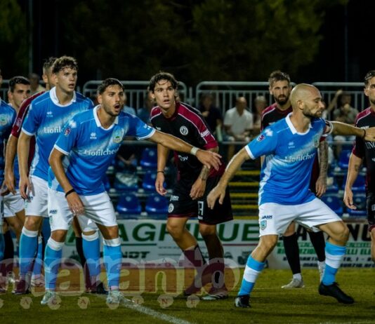 Il Pineto di Tisci sta scalando la classifica. Ma le trasferte restano un problema da risolvere