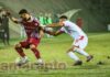 FOTOGALLERY / Serie C / 12a giornata / Carpi-Arezzo 2-1