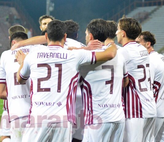 Monte ingaggi, l’Arezzo sfiora i 4 milioni di euro. E’ la sesta società del girone B