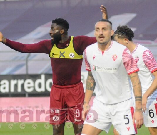 FOTOGALLERY / Serie C / 21a giornata / Arezzo-Vis Pesaro 0-0