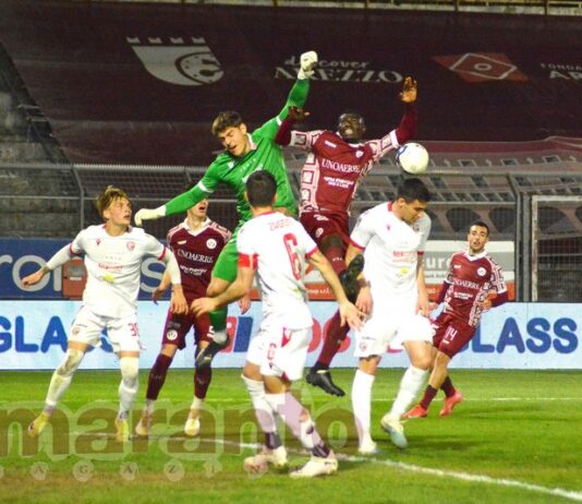FOTOGALLERY / Serie C / 31a giornata / Arezzo-Carpi 0-1