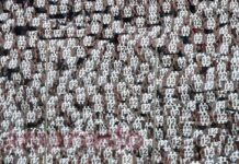 FOTOGALLERY / Playoff / 2° turno / Arezzo-Vis Pesaro 0-1