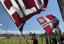 Arezzo travolgente, 6-2 al Trapani. Doppietta di Sussi davanti ai tifosi della curva Minghelli