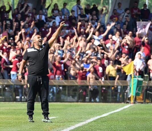 Dopo tre settimane di calciomercato il punto sui movimenti delle possibili rivali dell’Arezzo