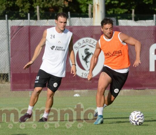 Il gioco delle coppie. Due alternative per ogni ruolo, Bucchi può scegliere. 433 il modulo base