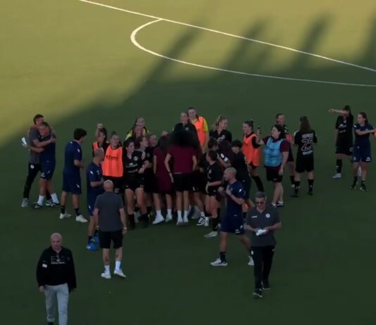 VIDEO / Vicenza-Acf Arezzo 1-2, la sintesi della partita