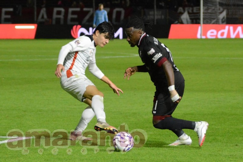 arezzo torres live (7)