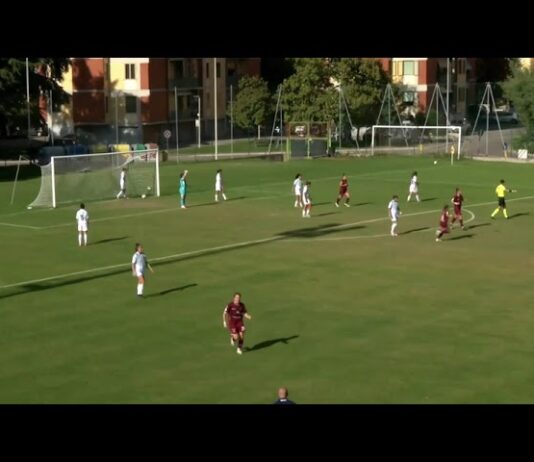 VIDEO / Acf Arezzo-Frosinone 2-1, la sintesi della partita