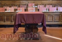 DIRETTA / Nuovo stadio di Arezzo. La presentazione del progetto in Comune