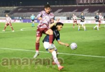 FOTOGALLERY / Serie C / 18a giornata / Arezzo-Pineto 3-3