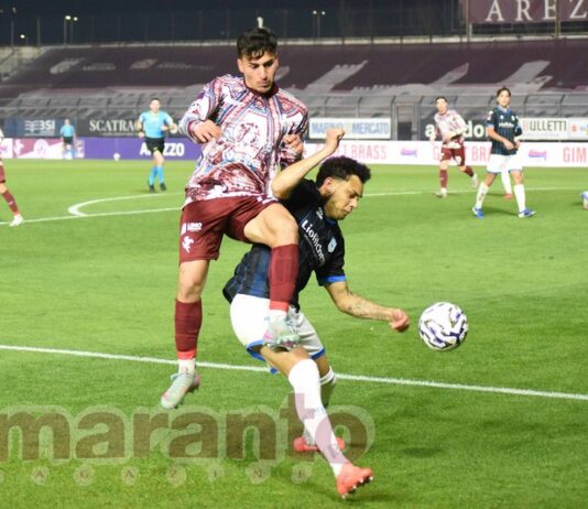 FOTOGALLERY / Serie C / 18a giornata / Arezzo-Pineto 3-3