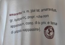 VIDEO / Acf, ultima partita dell’anno a Roma. Benedetti: “Chiudere bene il 2025”