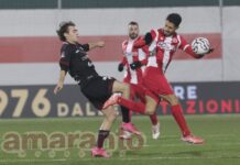 Tavernelli come ai bei tempi. Coppolaro terzino massiccio. Solo Pattarello in serata grigia