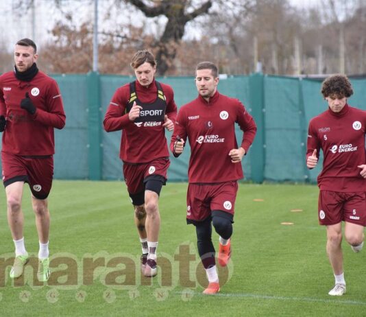 Bucchi ha la formazione fatta. Coppolaro, un turno di stop. Viviani verso la prima convocazione