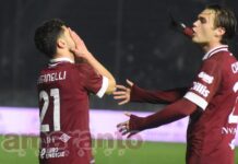 FOTOGALLERY / Serie C / 30a giornata / Arezzo-Ternana 1-2