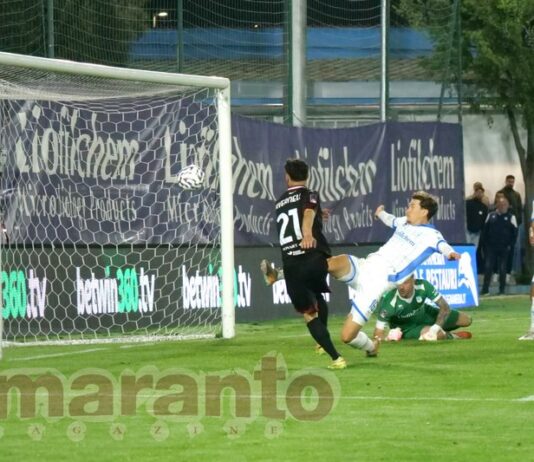 Ionita fuori categoria. Arena, che giocata per il primo gol. Coppolaro-Chiosa, difesa blindata