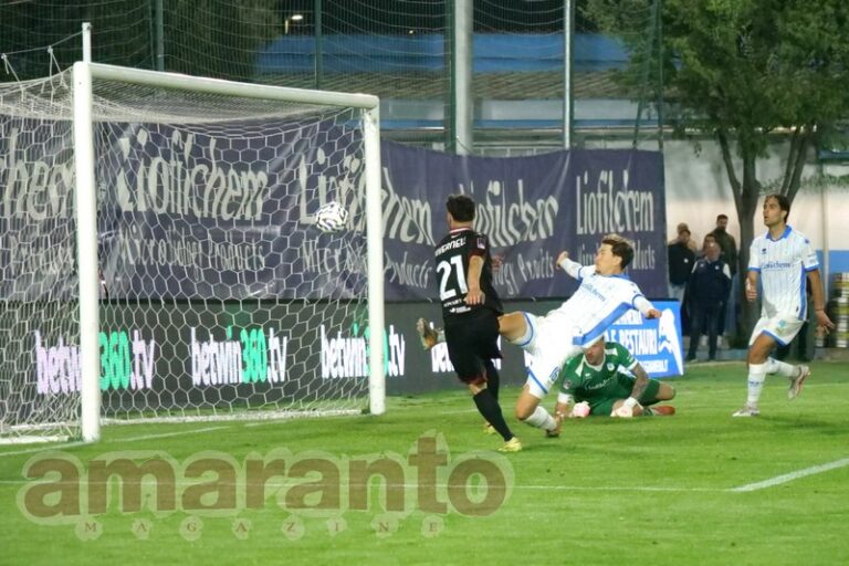 Ionita fuori categoria. Arena, che giocata per il primo gol. Coppolaro-Chiosa, difesa blindata