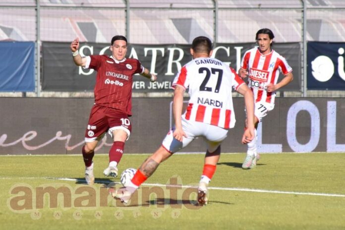 arezzo vicenza live (4)