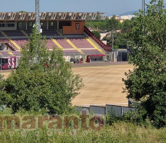 Manutenzione sul prato del Comunale. In corso la conversione in gramigna ibrida