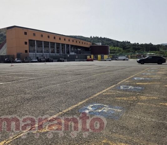 A proposito di disabili e parcheggi. “Vorremmo solo che la società ci proteggesse di più”