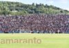 FOTOGALLERY / Serie B / 5a giornata / Arezzo-Sudtirol 1-4