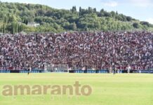 FOTOGALLERY / Serie B / 5a giornata / Arezzo-Sudtirol 1-4