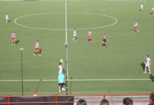 VIDEO / Vicenza-Acf Arezzo 3-1, la sintesi della partita
