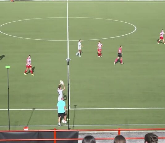 VIDEO / Vicenza-Acf Arezzo 3-1, la sintesi della partita