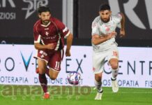 FOTOGALLERY / Serie B / 6a giornata / Arezzo-Cremonese 0-0